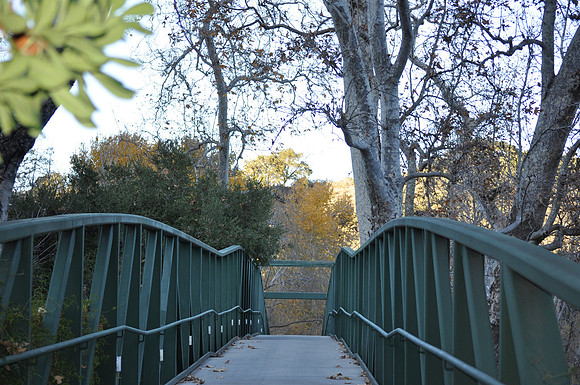 Sycamore Springs Bridge 1