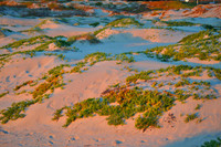 Sunset Dunes