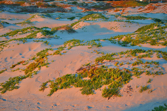 Sunset Dunes