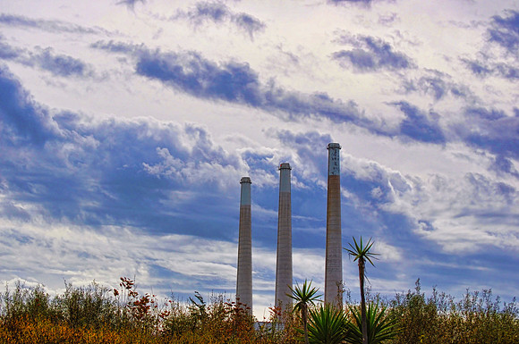 Morro Bay Stacks Vivid