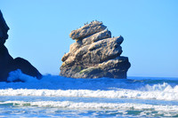 Ocean