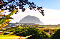 Morro Rock View