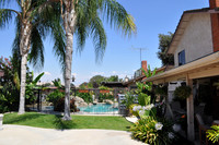 Back Yard Oasis
