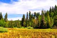 Landscapes